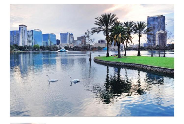 College Park Oasis: Quiet Retreat Near Orlando Attractions Hotel Exterior photo